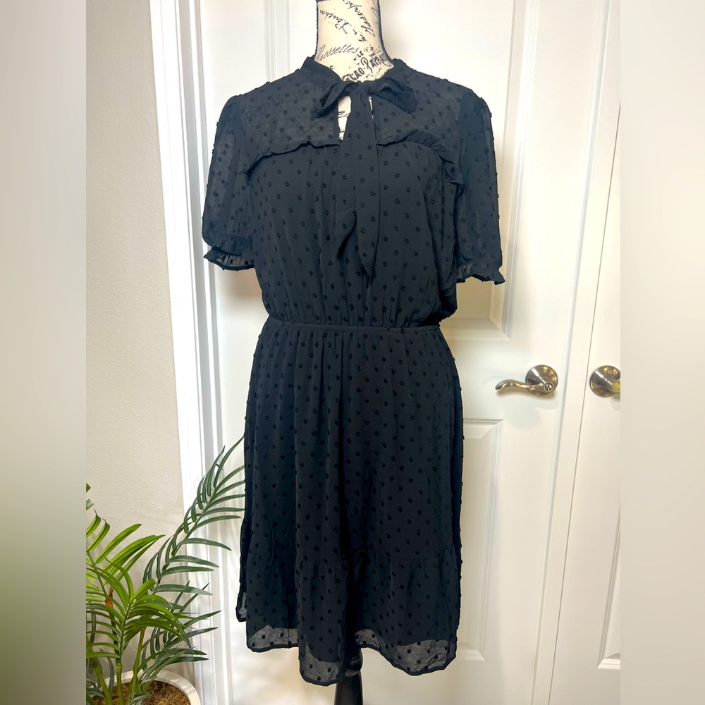 Monteau Los Angeles Black Swiss dots sheer dress. Size L